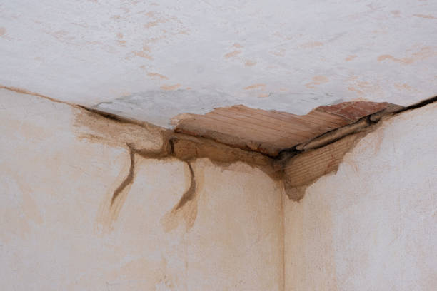 Best Residential water damage restoration  in Golden Triangle, NJ