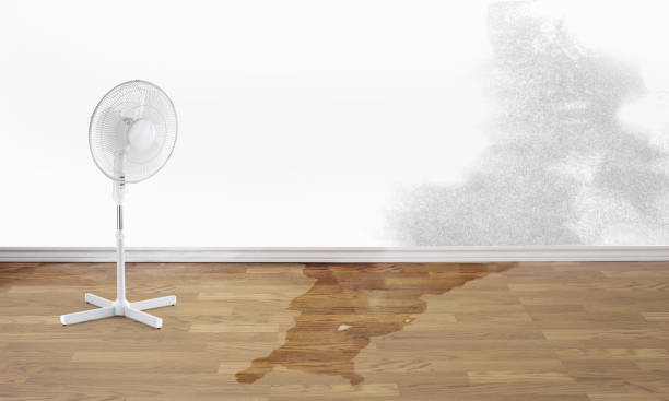 Best Sewage cleanup and water damage restoration  in Golden Triangle, NJ