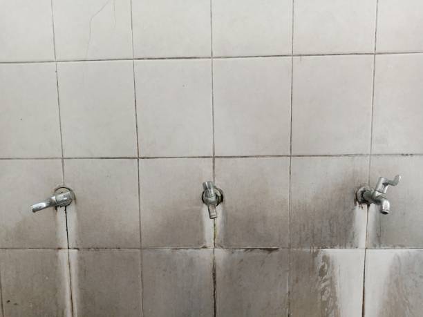 Local water damage restoration in Golden Triangle, NJ