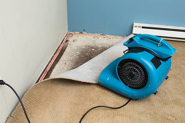 Sewage cleanup and water damage restoration in Golden Triangle, NJ